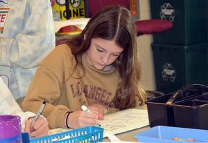 Mars Area Centennial School sixth-graders are putting the finishing touches on a 13-hole miniature golf course that they are designing and constructing in their STEAM classes.