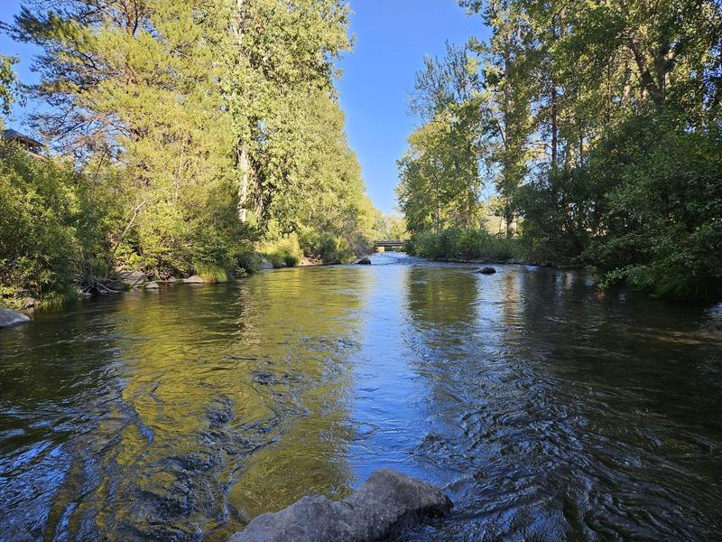 October 13, 2025 Newsletter