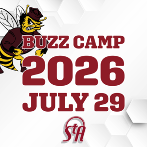 buzz camp flyer
