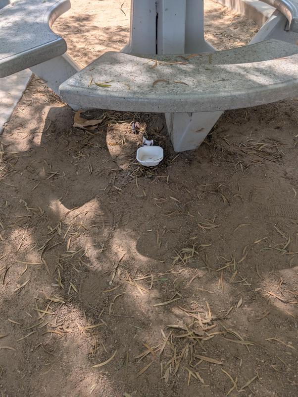 Trash left on ground