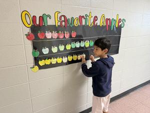Apple Tasting Graph