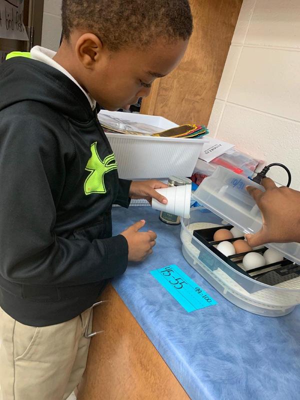 Amir Hargrove, S.L. Mason first grader, is shown here adding water to an incubator for chicken eggs in the classroom.