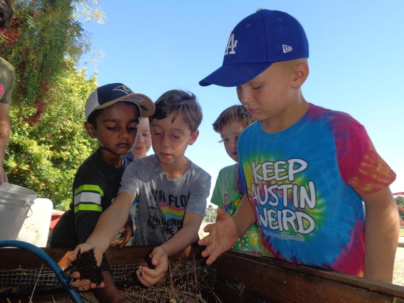 first graders in worm garden