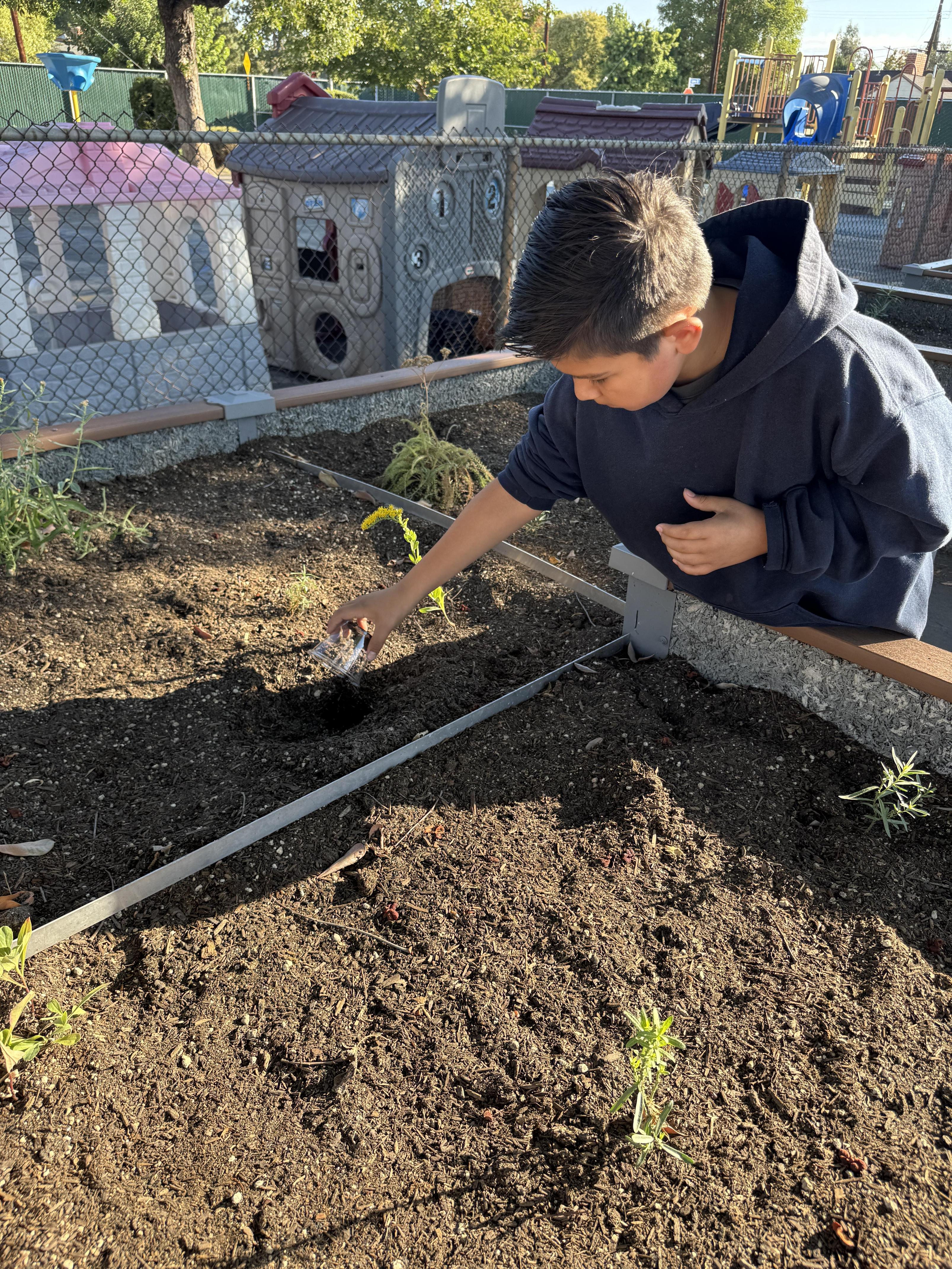 Students working on stewardship project