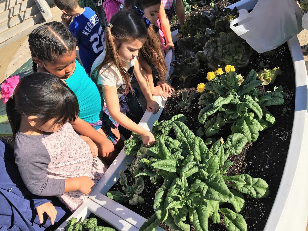 What's New at Arminta Our School Arminta Street Elementary