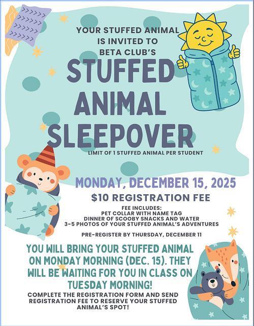 Stuffed Animal School Sleepover! Featured Photo