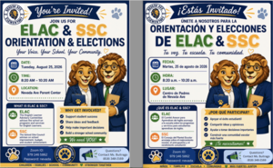 Elac and SSC orientation and elecitons