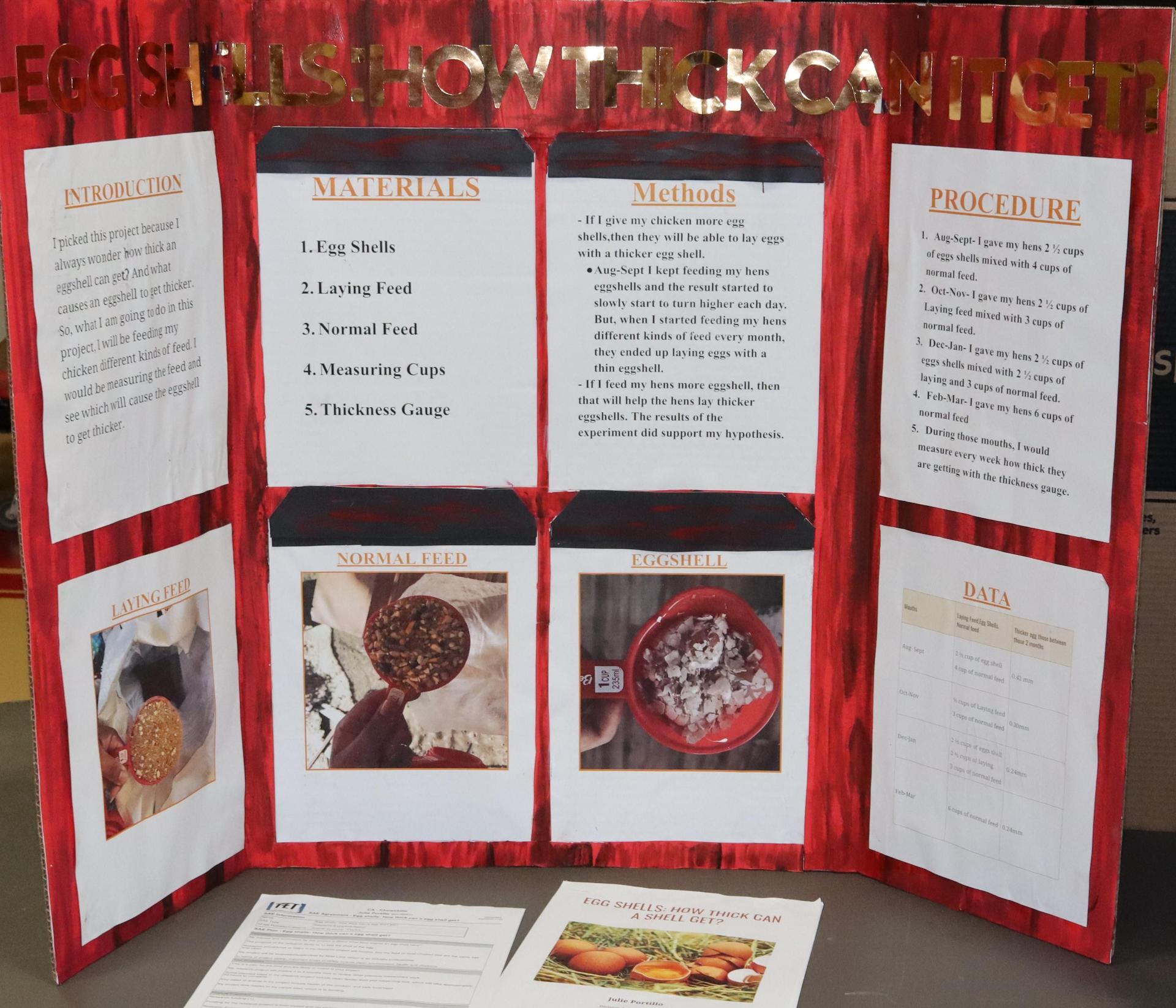 A Supervised Agricultural Experience trifold display