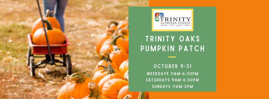 Pumpkin Patch hours