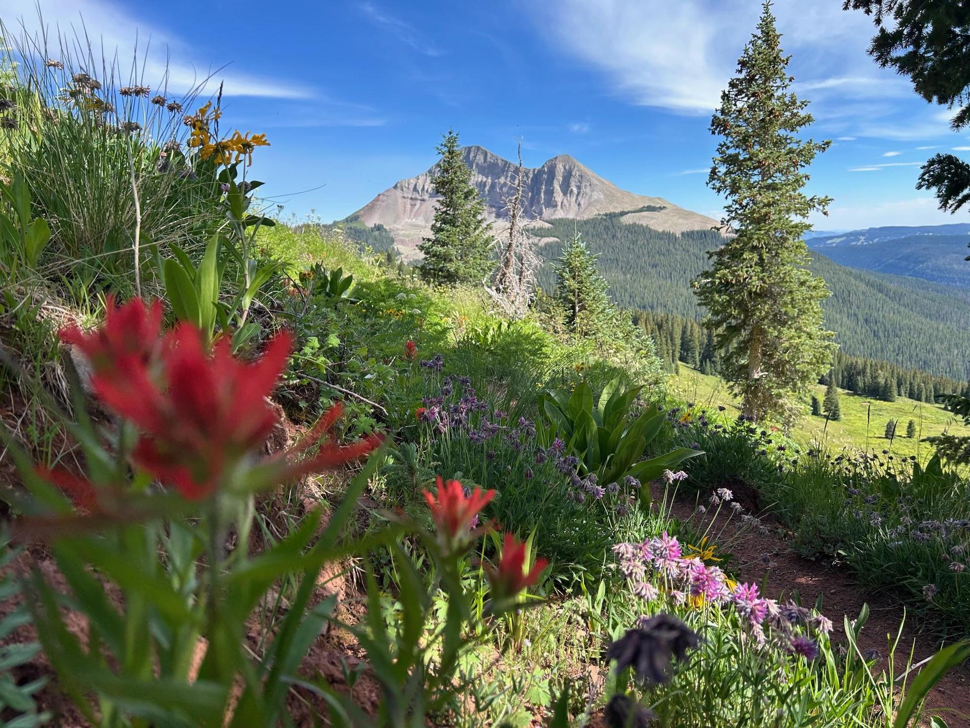 Engineer Mountain