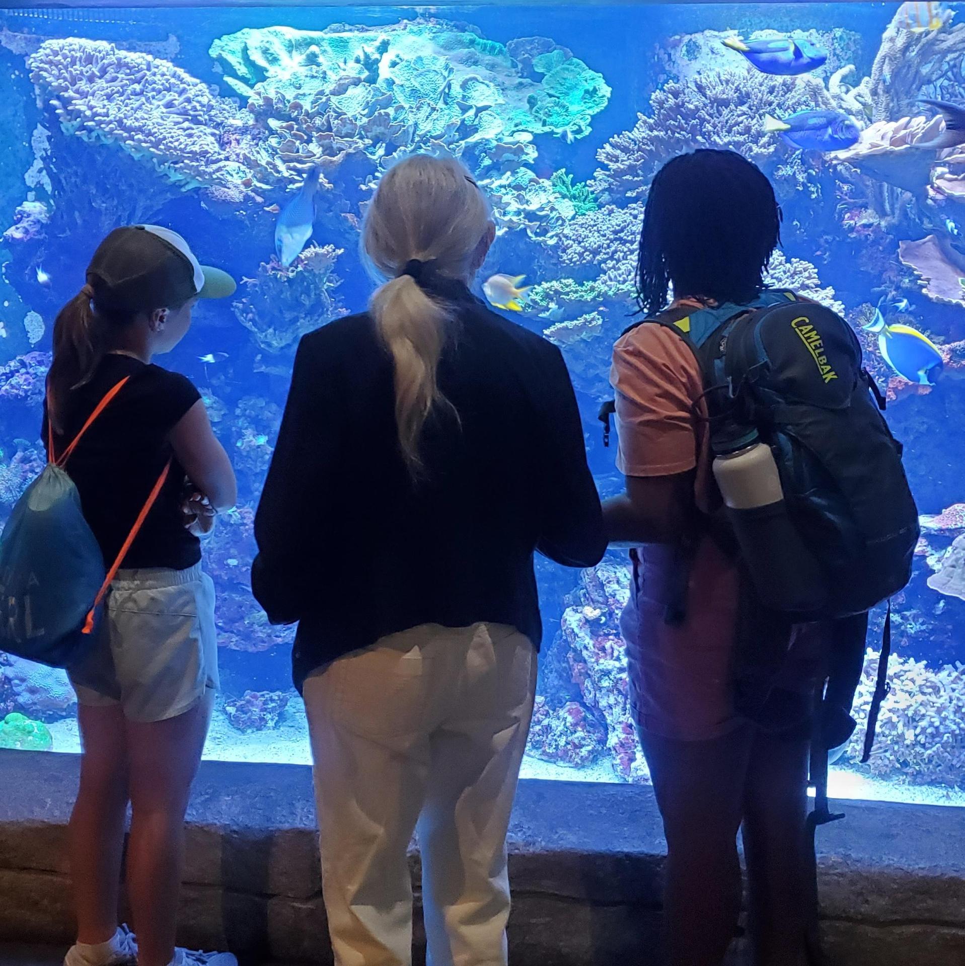 Students at the aquarium