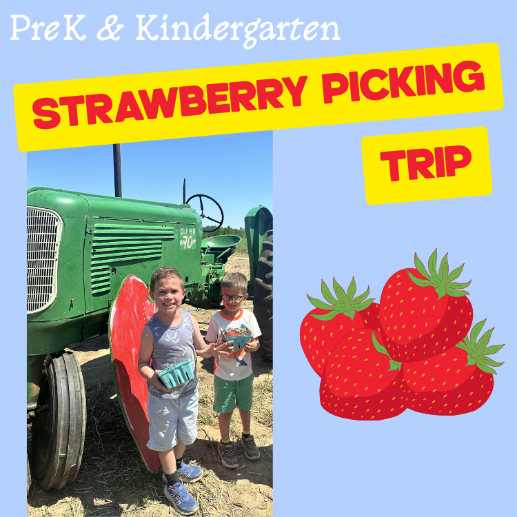 stawberry field tractor and kids