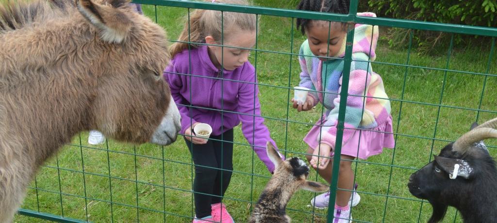 two girls feed a baby goat while donkey and another goat look on