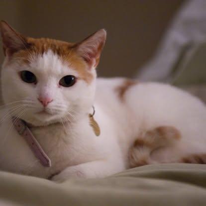 EllenGee's Profile Photo