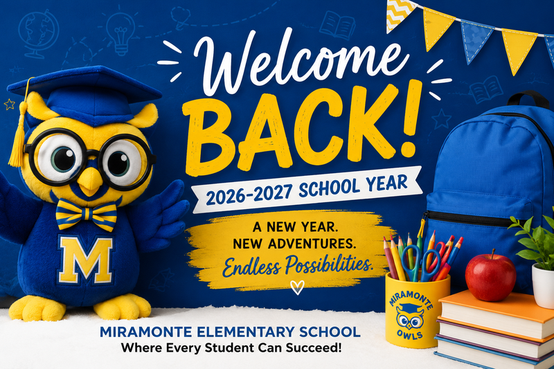 Welcome Back
