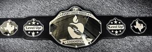Level Up Award Belt