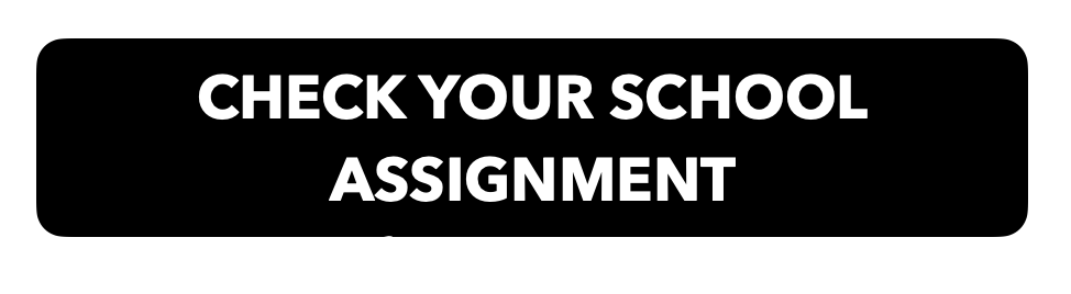 school assignment 