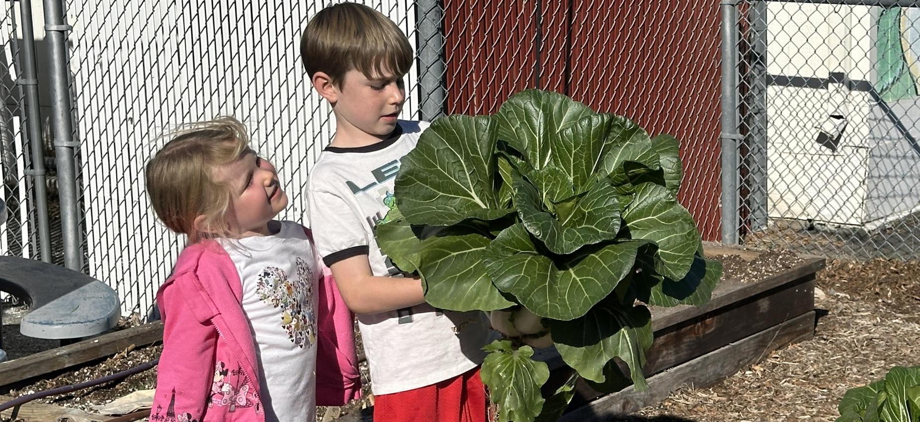 Two children proudly holding a large green vegetable in a garden setting.
