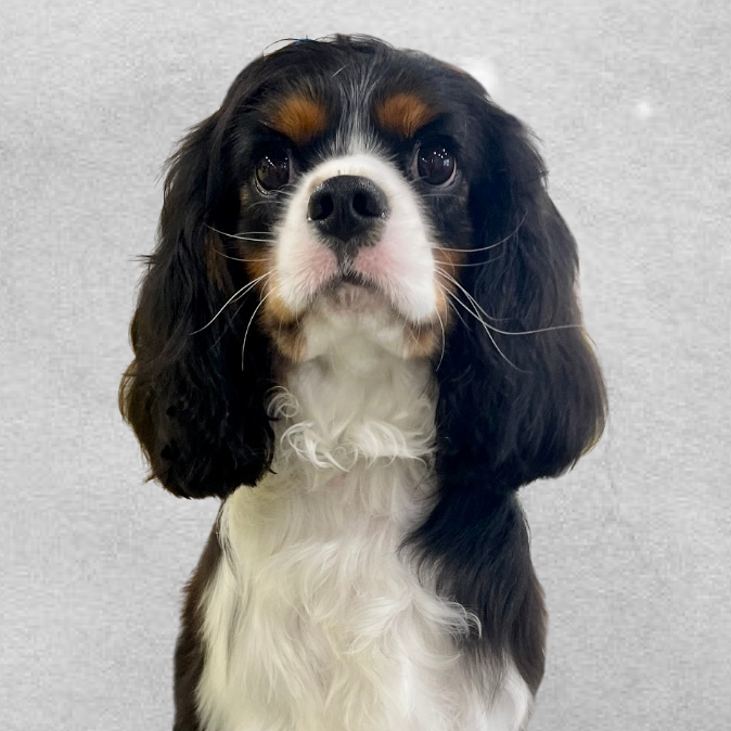 WinstonWyar's Profile Photo
