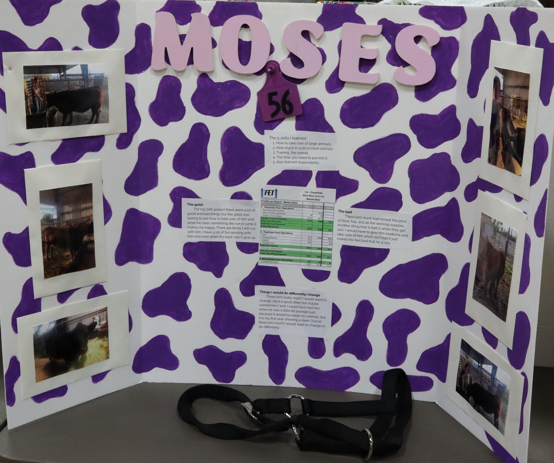 A Supervised Agricultural Experience trifold display