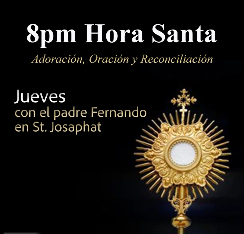 New - Spanish Holy Hour with Fr. Fernando Featured Photo