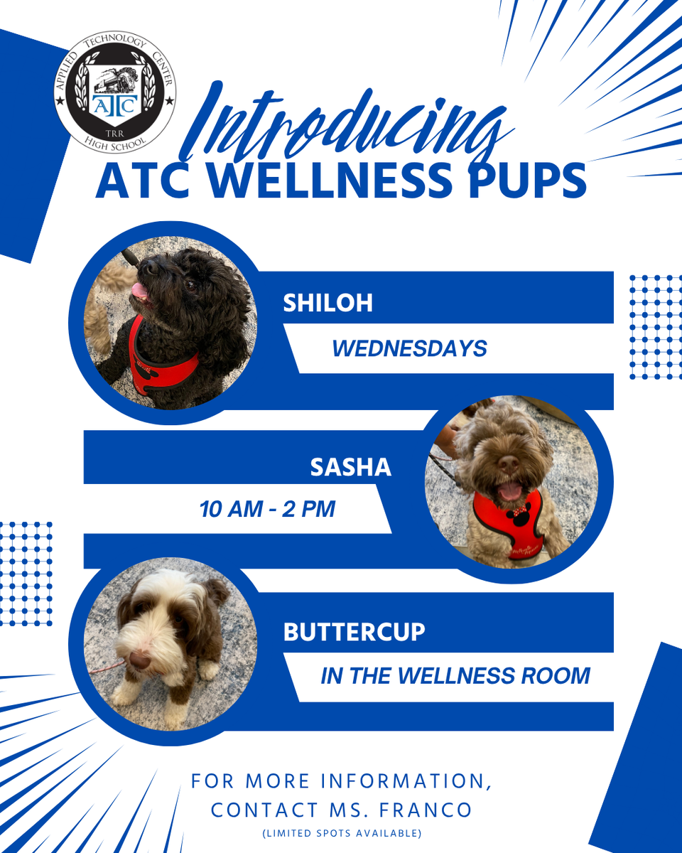 Wellness Pups Flyer