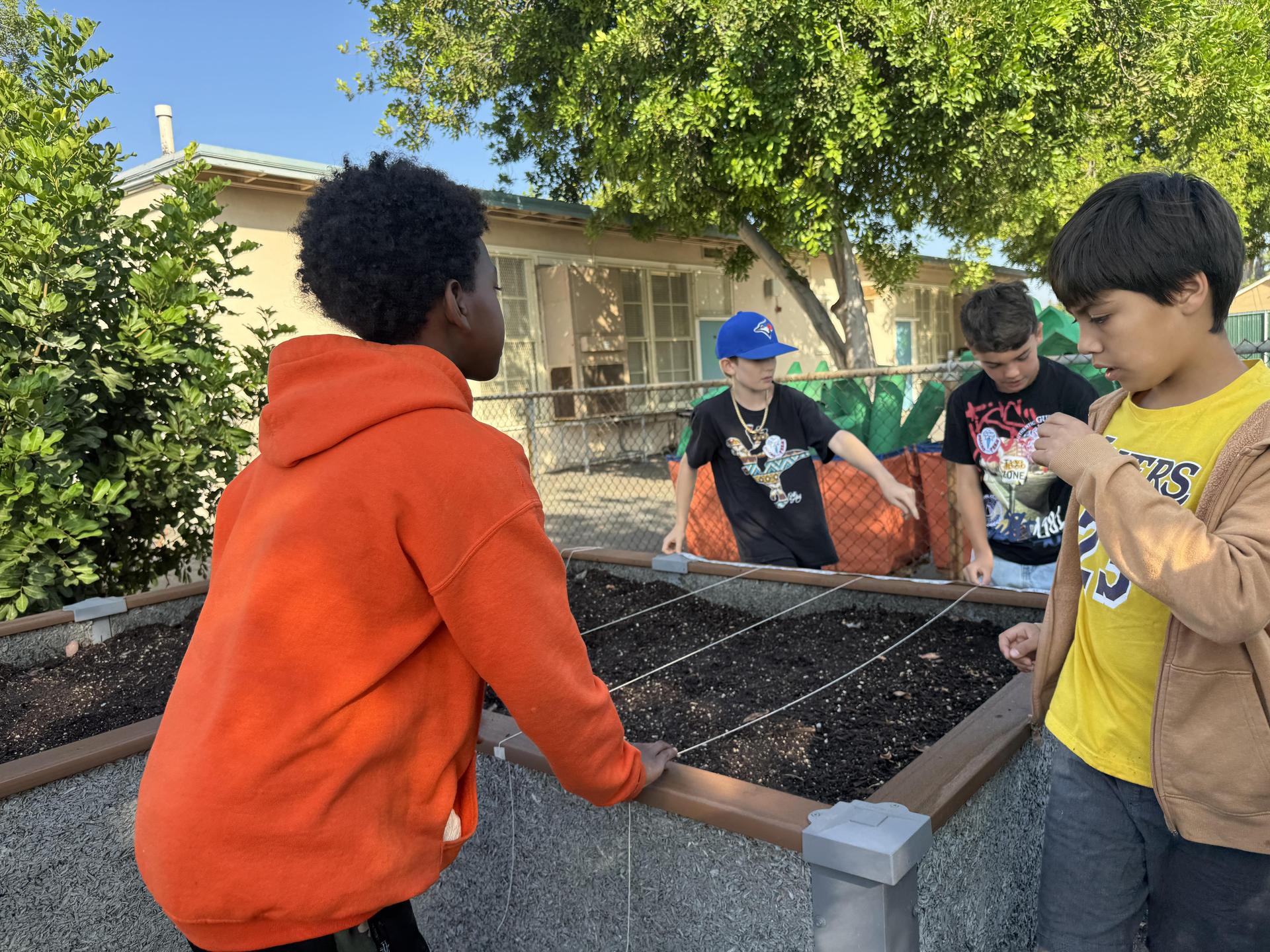 Lorne's Monarch Butterfly Sanctuary Garden