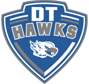 DT LOGO PNG.png