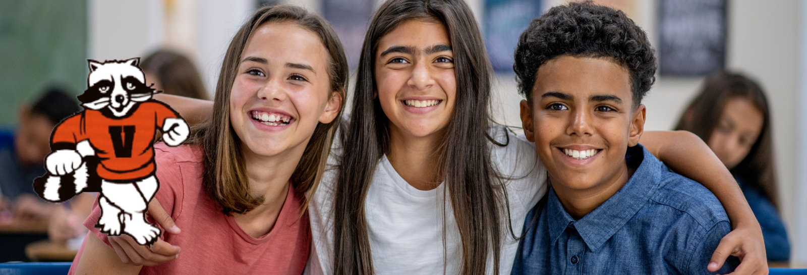 Vejar web shuffle banner for homepage
