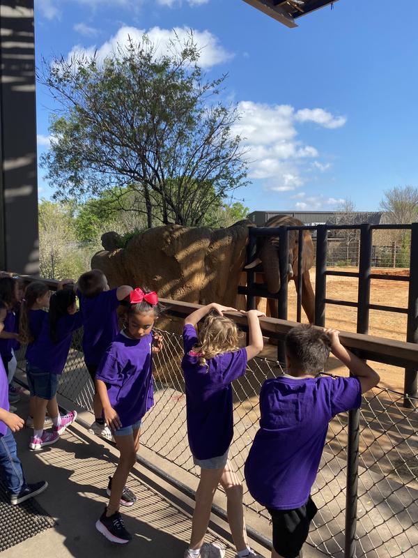 PreK and Kinder at the zoo.