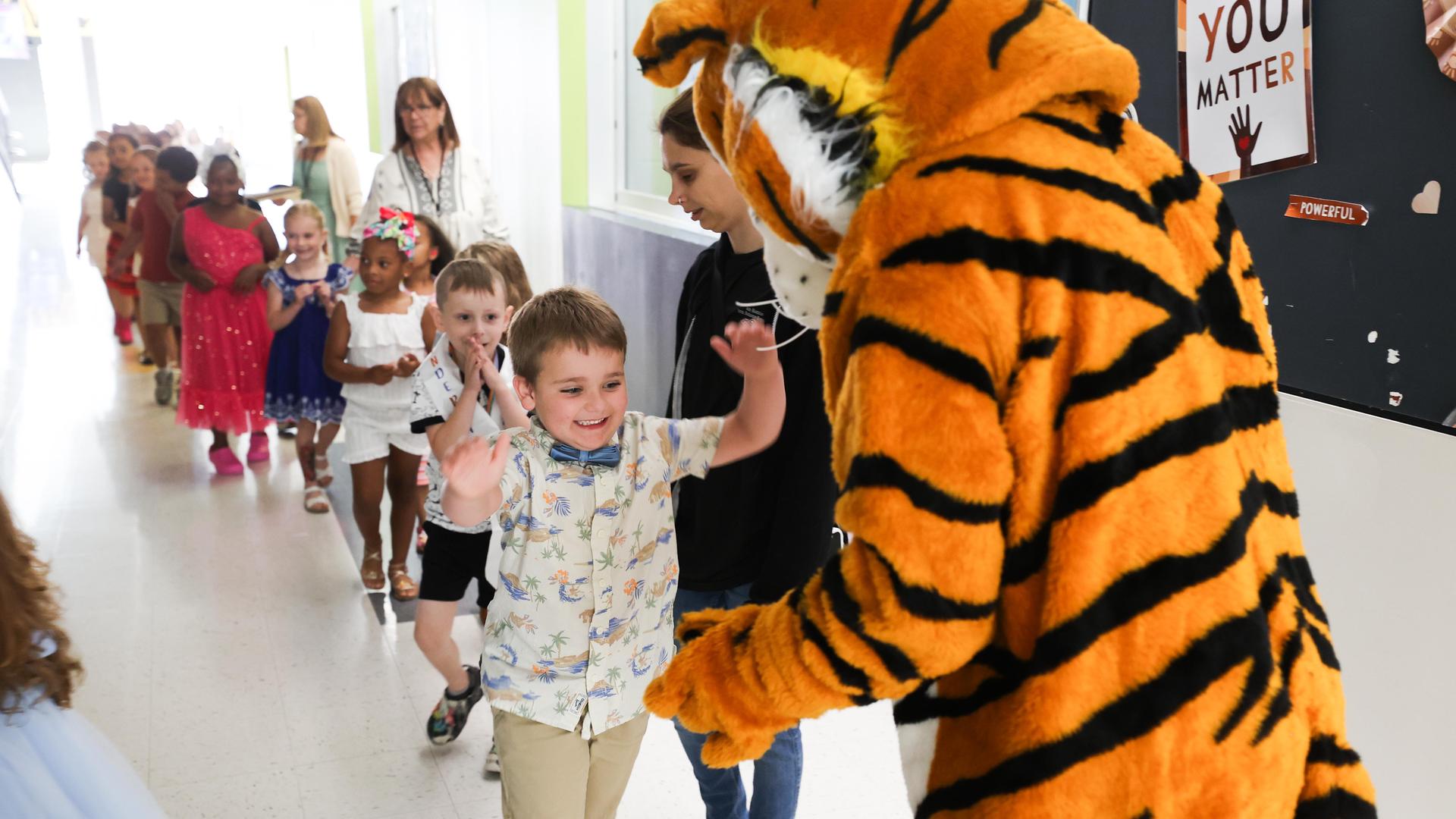 A smiling young boy wearing a bowtie high-fives a school tiger mascot while walking down a hallway with a line of other children for kindergarten graduation.