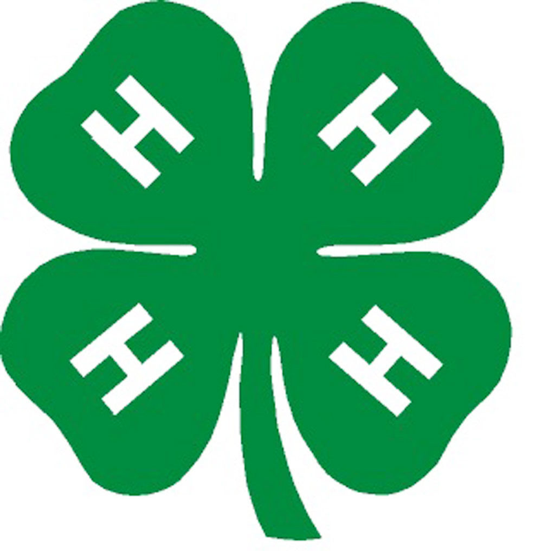 4-H clover logo