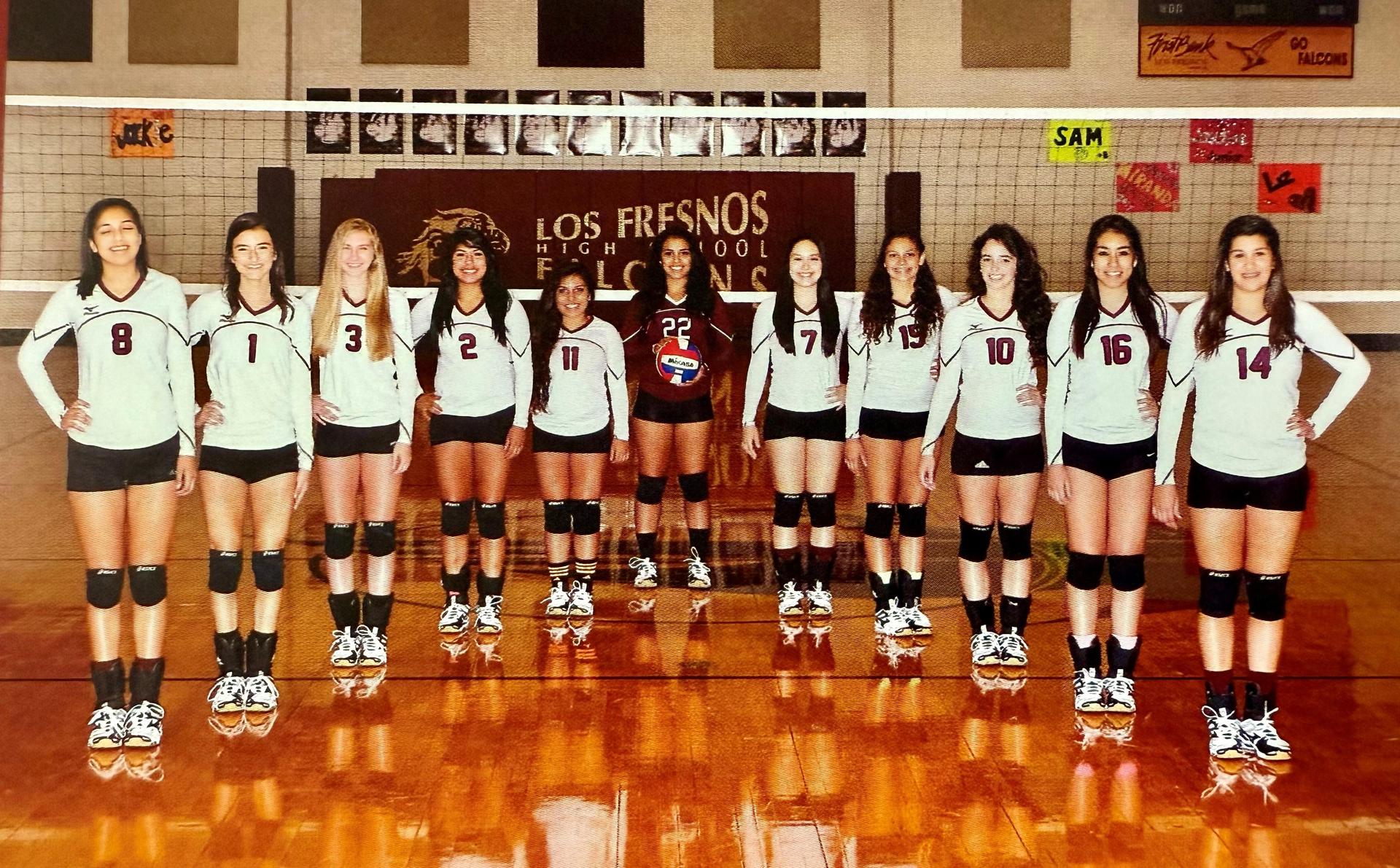 2014 Volleyball Team