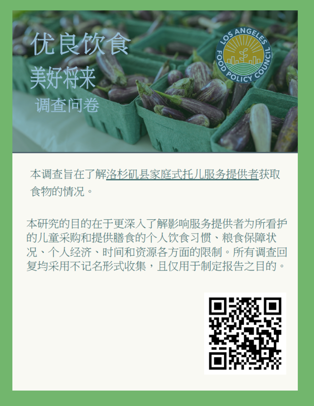 food survey for providers chinese