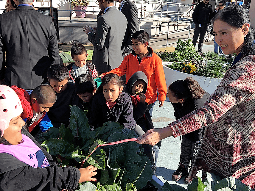 What's New at Arminta Our School Arminta Street Elementary