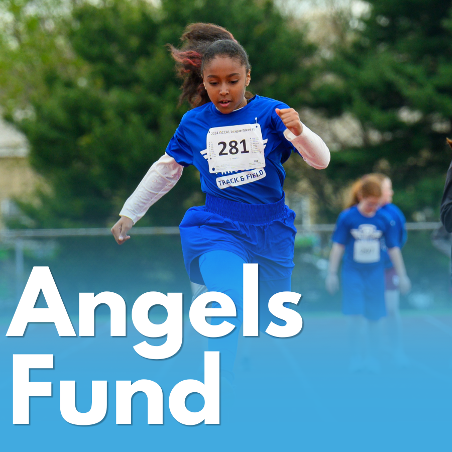 Angels Fund