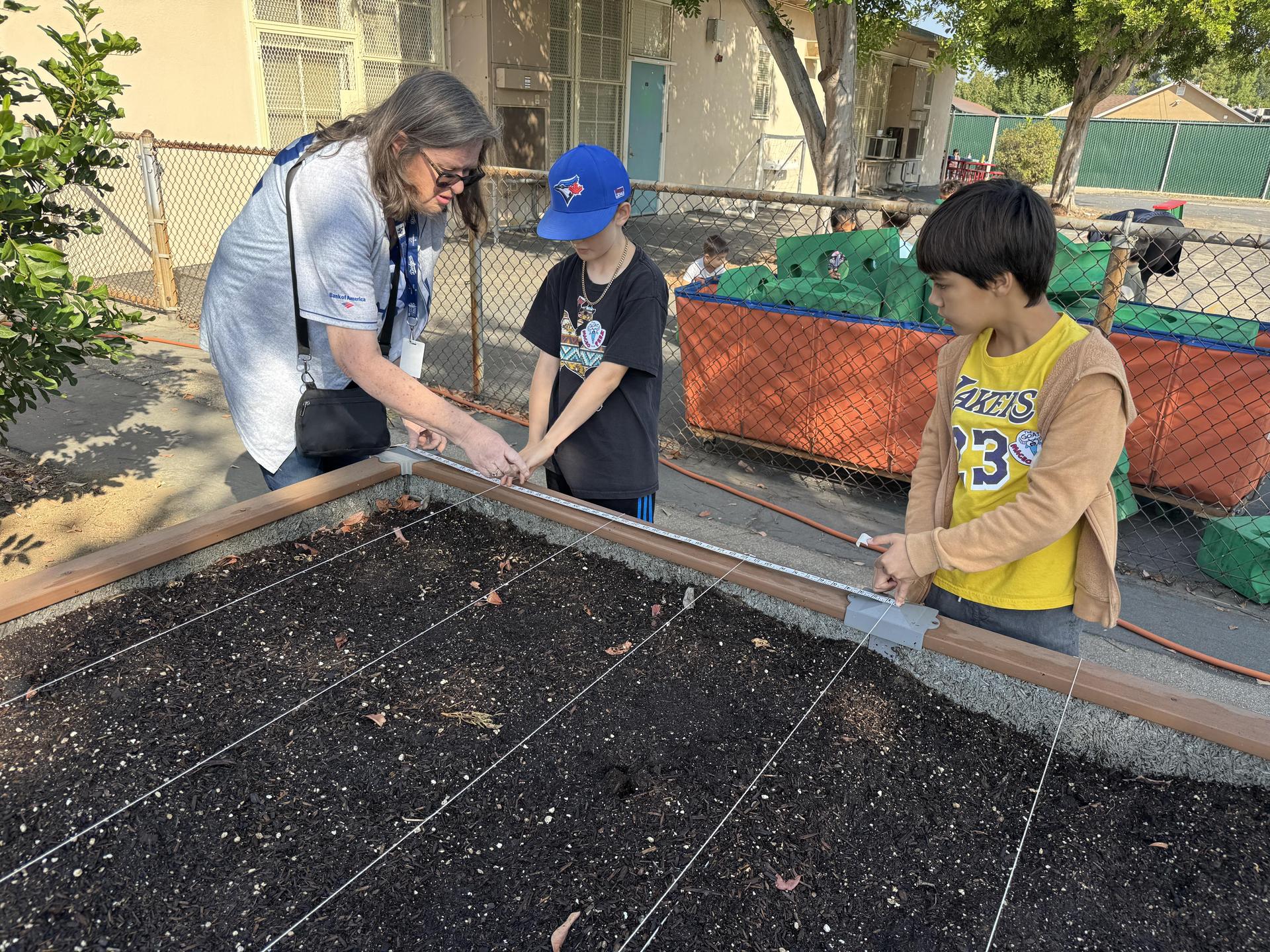 Lorne's Monarch Butterfly Sanctuary Garden
