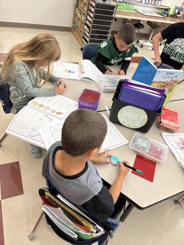Rock Star readers