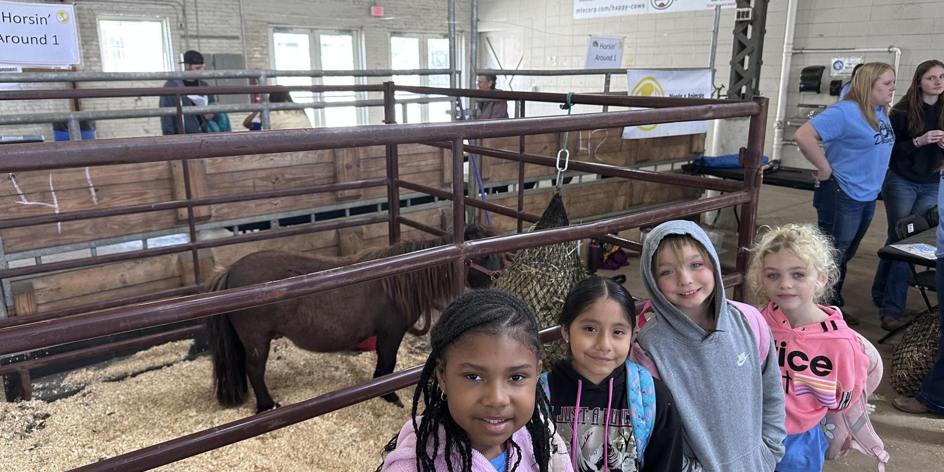 Group of four children posing in front of a petting zoo enclosure with a pony.