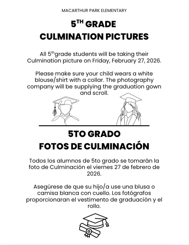 Picture flyer
