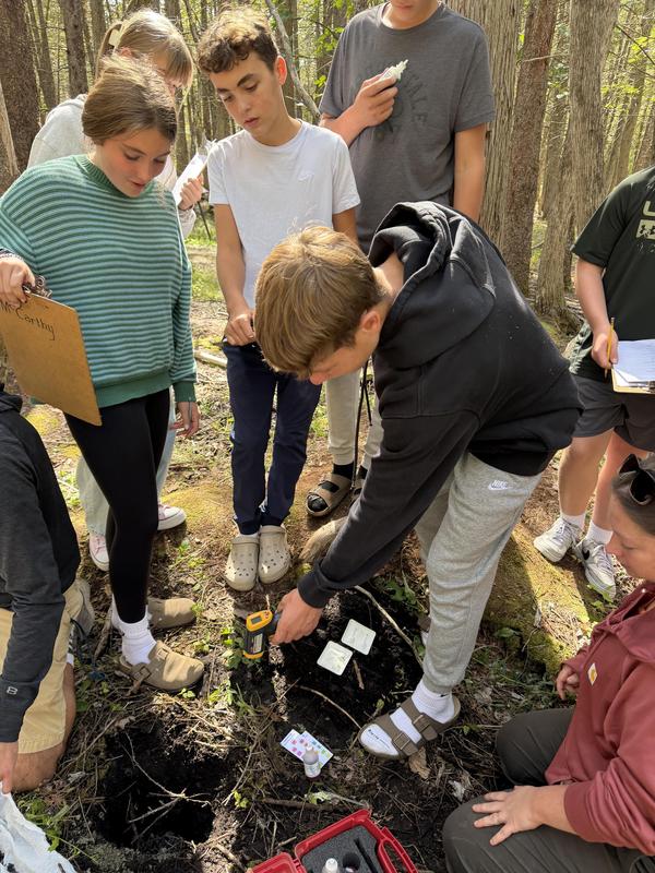 Students participating in a forest experiment around a dug hole.
