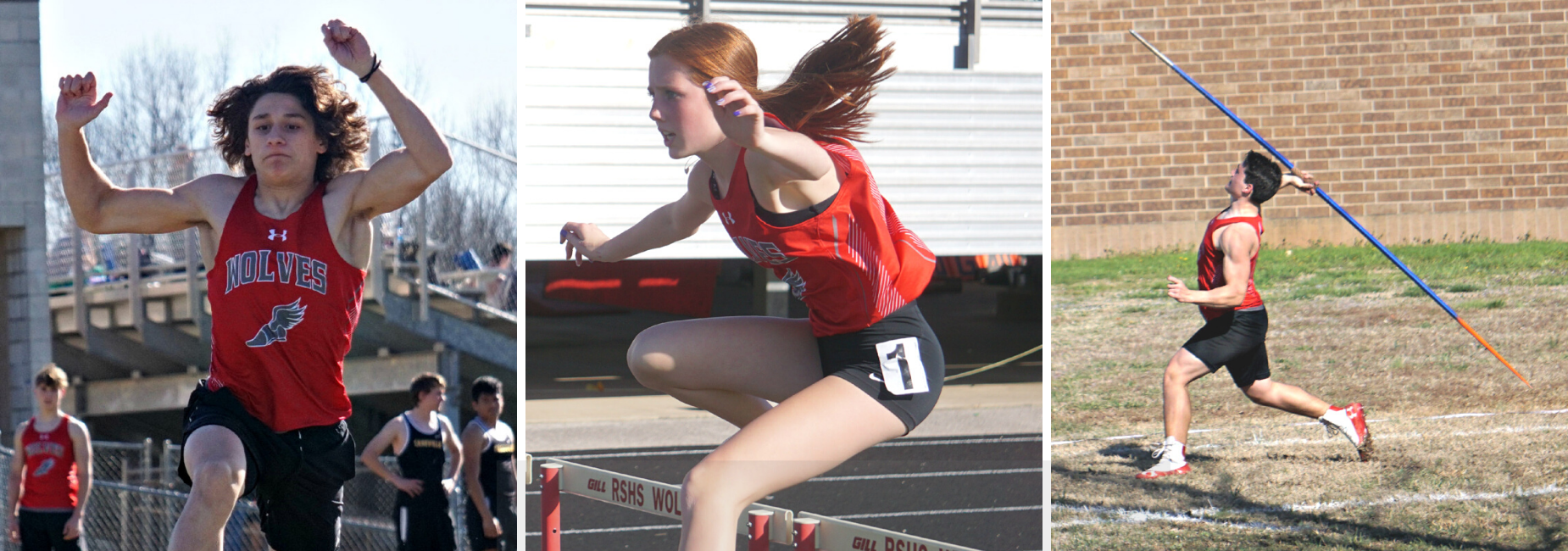 Reeds Spring Schools