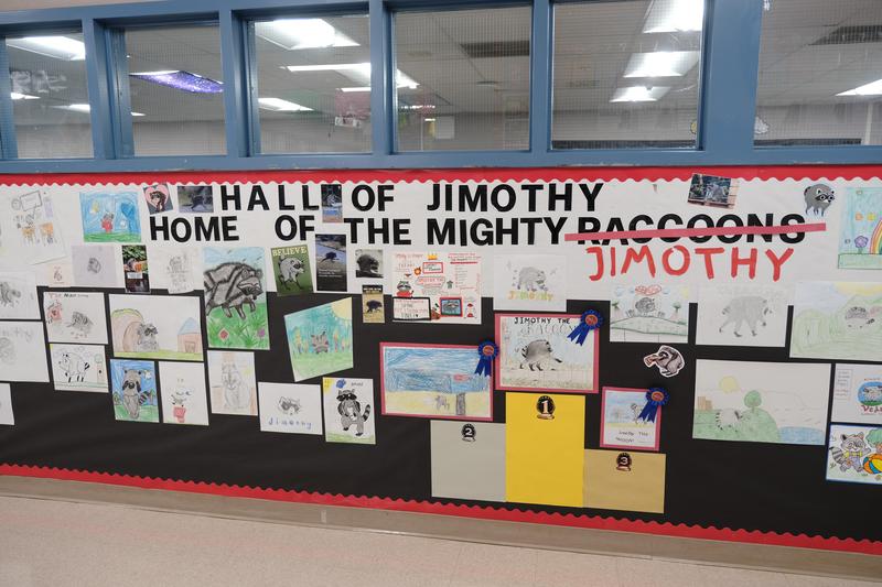 Vejar-Art Contest Winner of the Jimothy Contest, Viral Raccoon