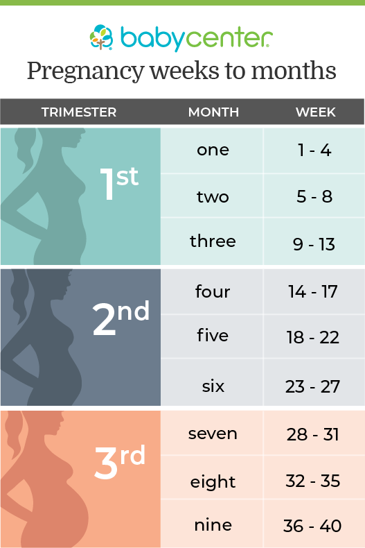 Pregnancy Information And Resources Pregnant Parenting Teen 