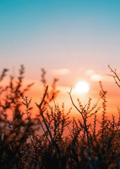 image of sunrise
