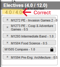 example of correct electives selection