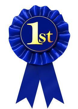 1ST PLACE