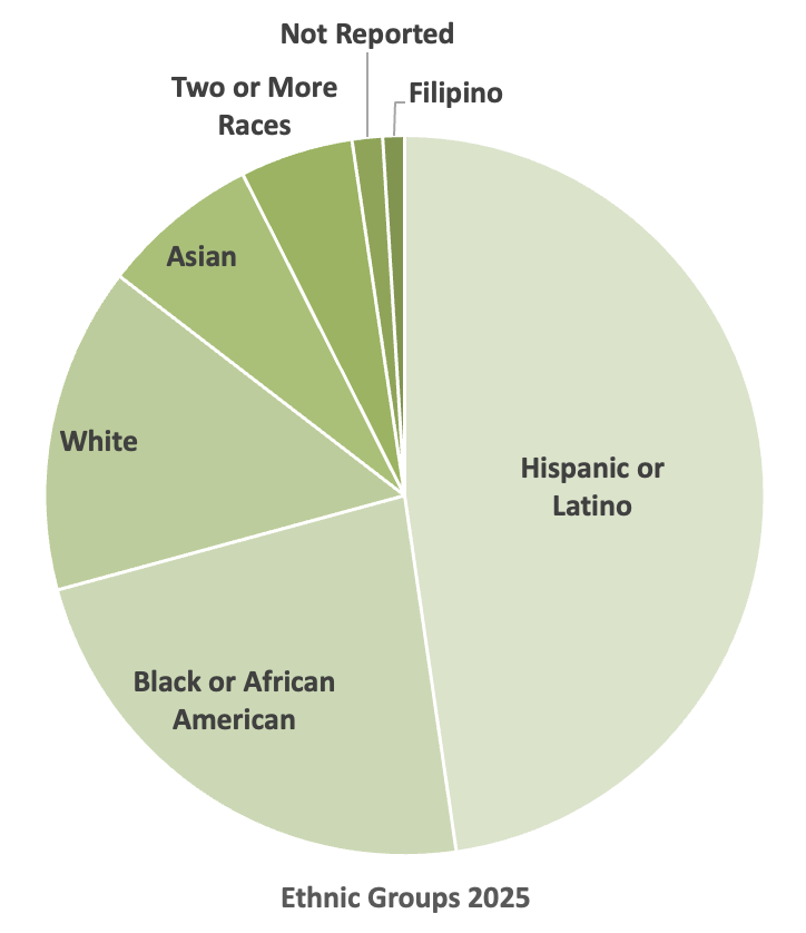 ethnic groups