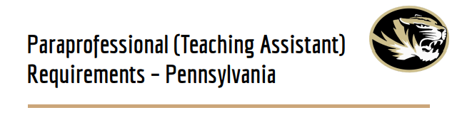  Teaching Assistant Requirements Header Image
