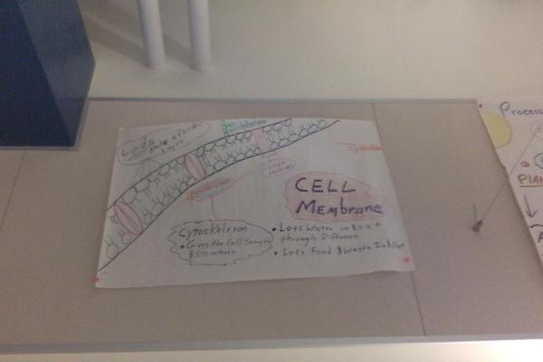 Photo on 2-4-19 at 11.30 AM #2.jpg